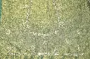 DSC_3951.webp