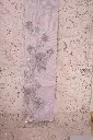 DSC_4846.webp
