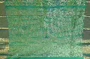 DSC_4122.webp