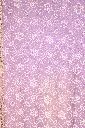 DSC_3098.webp
