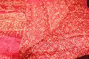 DSC_0542.webp