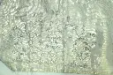 DSC_1933.webp