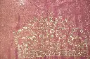 DSC_2161.webp