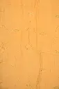 DSC_8606.webp