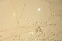 DSC_7130.webp