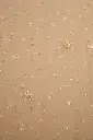DSC_7128.webp