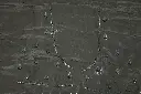 DSC_7199.webp
