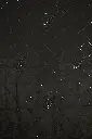 DSC_7197.webp
