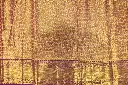DSC_8219.webp