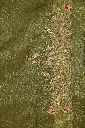 DSC_7493.webp
