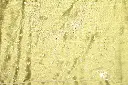 DSC_7600.webp