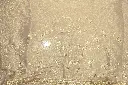 DSC_7610.webp