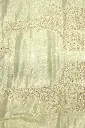DSC_7656.webp