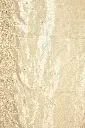 DSC_7765.webp