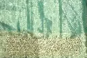 DSC_7859.webp