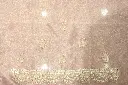 DSC_7927.webp