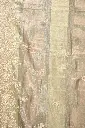 DSC_7986.webp