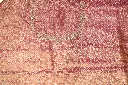 DSC_8026.webp