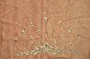 DSC_3082.webp