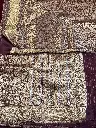 IMG_2910.webp