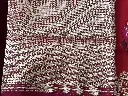 IMG_2987.webp