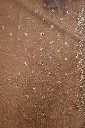 DSC_9967.webp