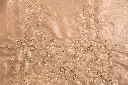 DSC_0248.webp