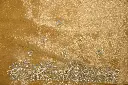 DSC_9997.webp