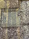 IMG_4910.webp