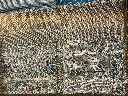 IMG_4923.webp