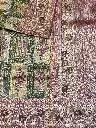 IMG_4962.webp