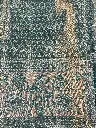 IMG_4959.webp