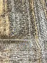 IMG_4730.webp