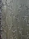 IMG_0714.webp