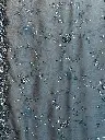 IMG_1068.webp