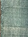 IMG_9277.webp