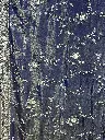 IMG_0784.webp
