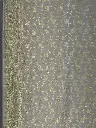 IMG_8800.webp