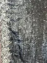 IMG_9500.webp