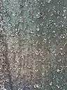 IMG_9568.webp