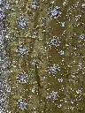 IMG_9518.webp