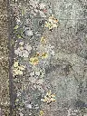 IMG_8617.webp