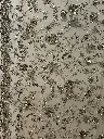 IMG_9484.webp