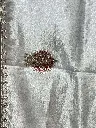 IMG_9699.webp