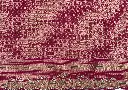 IMG_0286.webp