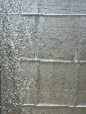 IMG_9738.webp