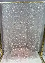 IMG_9892.webp