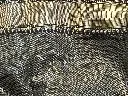 IMG_1919.webp