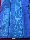 IMG_1839.webp