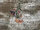 IMG_1773.webp
